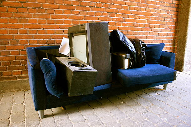 Best Attic Cleanout  in Hanover, MN
